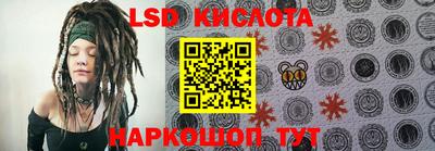 шишки Кандалакша