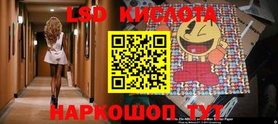 шишки Кандалакша