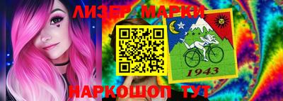 шишки Кандалакша