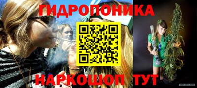 шишки Кандалакша