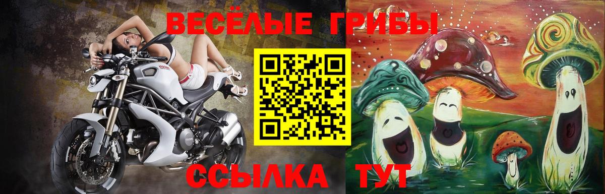 Куйбышев  сколько стоит  Вход с VPN  Псилоцибиновые грибы мухоморы  Галлюциногенные грибы Psilocybe 